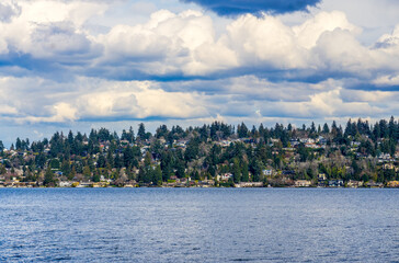 Obraz premium Waterfront Homes In Bellevue 2