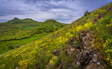 hills in the summer