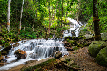 The waterfall near Mae Kampong village, Chiang Mai city, Thailand. Fresh flowing water stream in jungle. Thailand mountains.