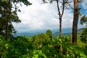 Panoramatic view of Kew Fin viewpoint near the Mae Kampong village and Chiang Mai city, Thailand. View of mountains and hills in sunny day.