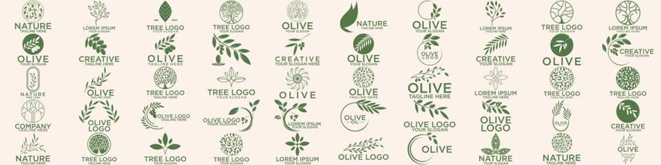 set of green olive oil logo for modern female beauty