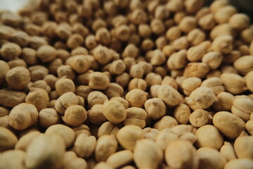 Collection of typical arabian grains in close up
