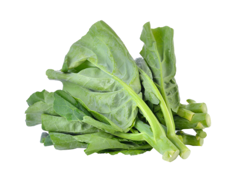 Chinese Brocolli isolated on transparent png