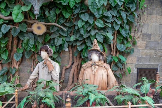 Mandrakes and student figurines in the greenhouse on the Harry Potter Studio Tour
