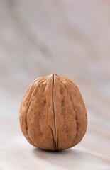 Closeup of a walnut in shell with blur background, vertical shot