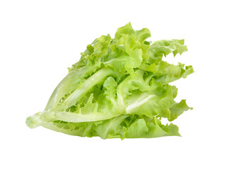 Fresh green lettuce on transparent png