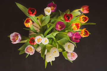 Tulpen / Blumenstrauß