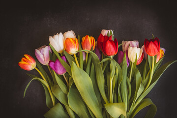 Tulpen / Blumenstrauß