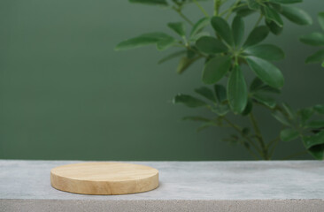 Wood podium on concrete table top floor tropical plant with blurred dark green background.Healthy...