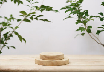 Wood podium tabletop floor with tree branch green leaf on white background.Beauty cosmetic and healthy natural product placement pedestal platform showcase stand display,spring or summer concept.