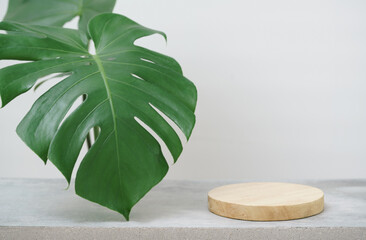 Wood podium on concrete tabletop floor tropical plant monstera with blurred white...