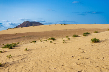 Sand dunes in the Parque Natural de Corralejo on the island of Fuerteventura