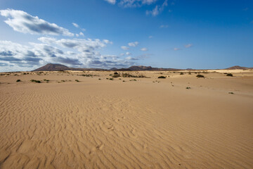Fototapeta na wymiar Sand dunes in the Parque Natural de Corralejo on the island of Fuerteventura