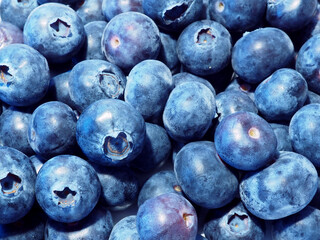 Ripe blueberries as background