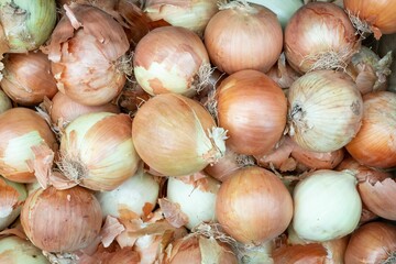 Closeup of a pile of fresh onions