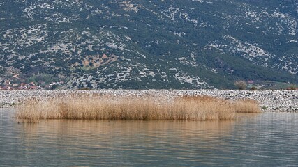 Morning view of the Lake Carla, Greece