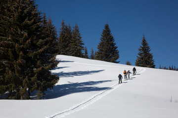 A group of freeride skiers climb up into the snowy mountains. Active recreation in nature