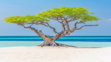 Old beautiful tree on the shore. Amazing paradise islands of Maldives. Generative AI
