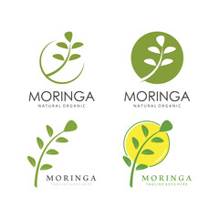 Green Natural Moringa Leaf Logo Template Isolated on White Background.