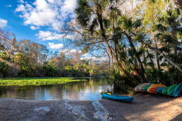 Colorful canoes by lake surrounded by tropical trees at sunset in Wekiwa Springs State Park, Florida - 581846133