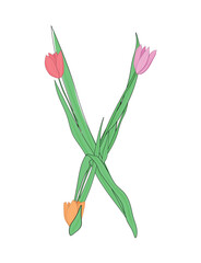 Letter X of English alphabet from tulip flowers, floral font for spring Mother's Day design