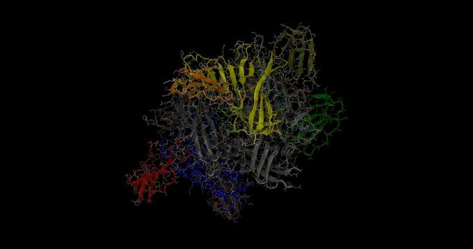 Cobratoxin bound to AChBP, 3D molecule spinning, 4K