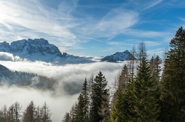 Naklejka na ściany i meble Gorgeous landscape with tall green trees and a sea of foggy clouds covering snowy mountains