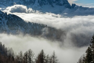 Mysterious forest covered with clouds and mist in snowy mountains