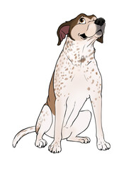 Cartoon illustration of a smiling dog, transparent background