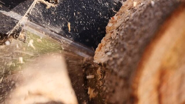 sawing a log with a chainsaw close up slow motion