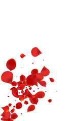 Delicate Cherry Blur Vector White Background.