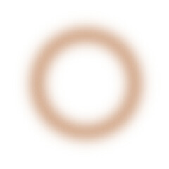 Beige Grain Ring Shape or Spot