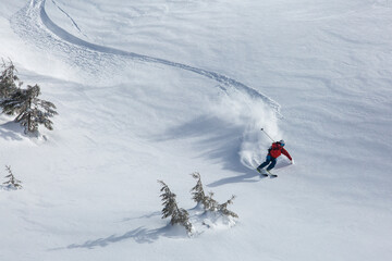 backcountry skier glides effortlessly through the powder snow and their bright red jacket standing out against the white canvas