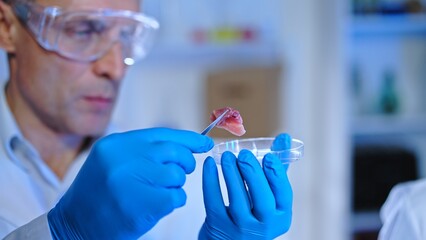 Food scientist testing lab-grown vegan meat in laboratory, quality control - obrazy, fototapety, plakaty
