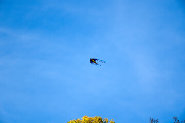 Drachen Flug bei blauen Himmel  © johannes