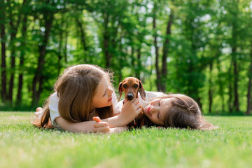 two happy little girls are lying on the green grass in the summer hugging their pet dog dachshund....