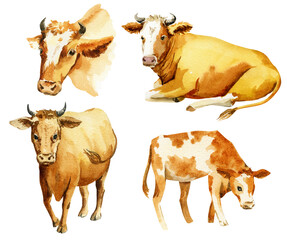 illustration of different cow with a calf, watercolor sketch of a cow and a calf, farm animal