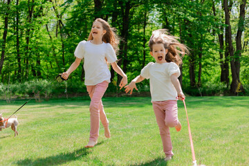 Obraz premium two happy little girls are walking in the park in the summer with their pets, small dogs dachshund and chihuahua. children's day