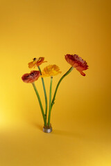 floral background. bright flowers on a yellow background.