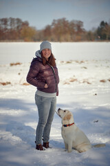 Young blond labrador retriever sitting in front of his mistress in a snowy landscape