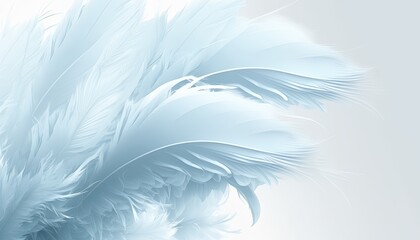 Fototapeta na wymiar White feather texture pattern background