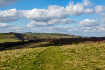 Fototapeta na wymiar A green South Downs landscape near East Dean, with a blue sky overhead