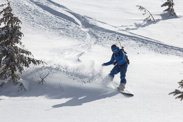 the backcountry snowboarder elegantly carves through the pristine, untouched powder snow, leaving behind a trail of snow dust