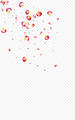 Pink Rose Summer Vector Transparent Background.