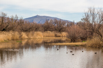 paysage des aiguamolls parc naturel
