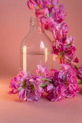 minimalistic background for design decoration. flowers on a pink background.