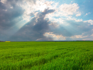 Fototapeta na wymiar green rural field under dense cloudy sky