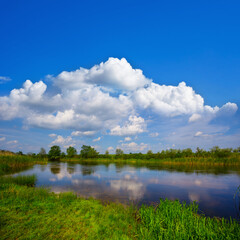 Obraz na płótnie Canvas small calm river under blue cloudy sky at the sumer day