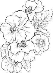 sketch contour bouquet of pansy flowers, Sketch violet flower drawing, flower cluster drawing, Easy flower coloring pages, flower coloring page for kids, purple pansies drawing. 
