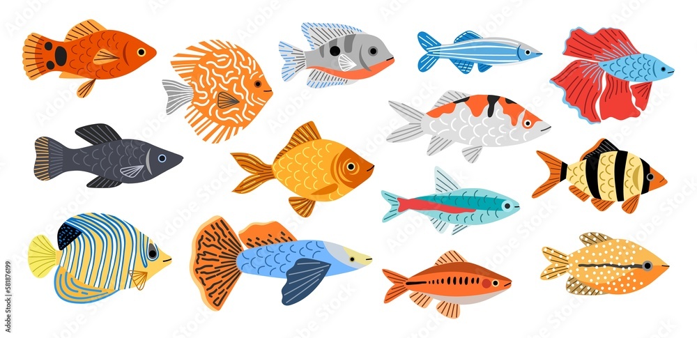 Wall mural Different aquarium fishes breeds. Little decorative room fishes, barbus, swordfish, neon, cockerel, underwater inhabitants, vector set.jpg